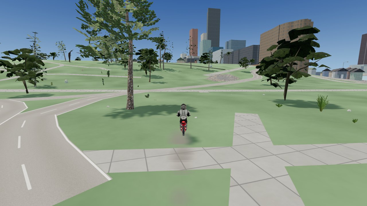 Riding a park by the Sydney skyline
